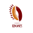 Atelier Origines